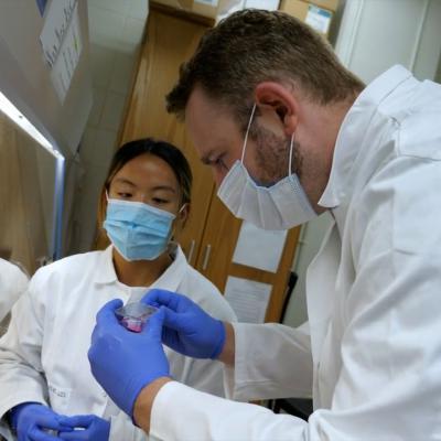 Students working in a lab